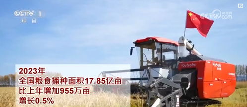 糧油豐供給足，谷物種植為經濟持續恢復向好提供堅實支撐