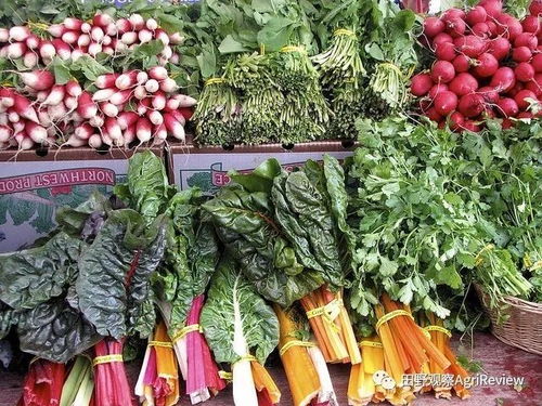 一年回本？有機模式可行？揭秘Eataly新版